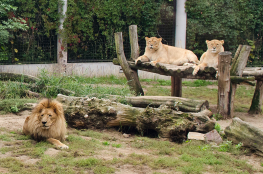 Płocki Ogród Zoologiczny